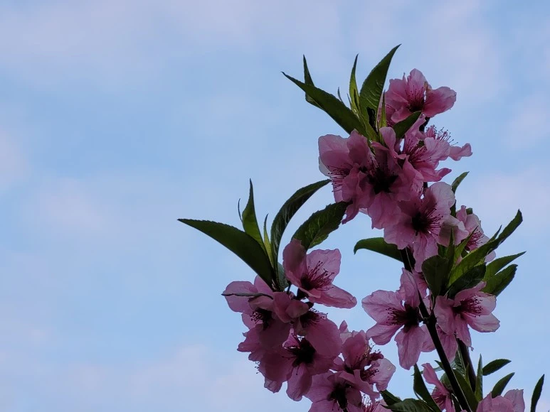 20210402_183331.jpg?type=w773