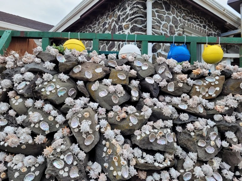 20210111_112345.jpg?type=w773