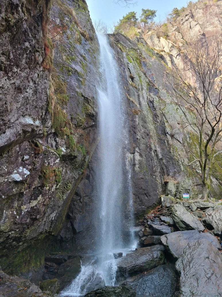 1615675897505.jpg?type=w773