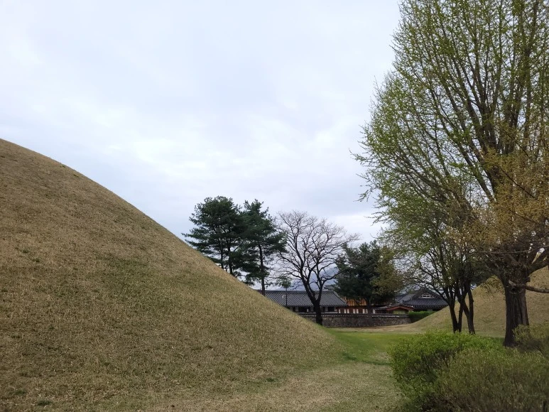 20210403_103444.jpg?type=w773