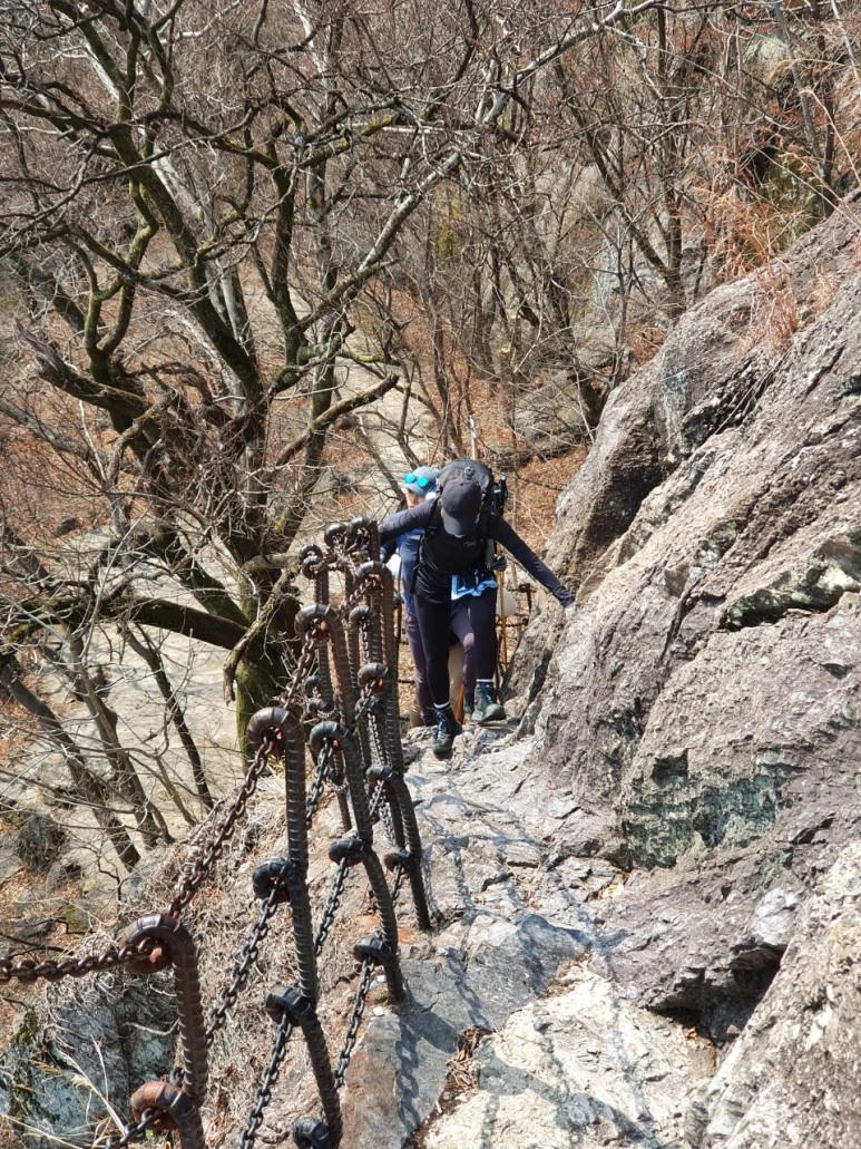 3472445438909056289.jpg?type=w773