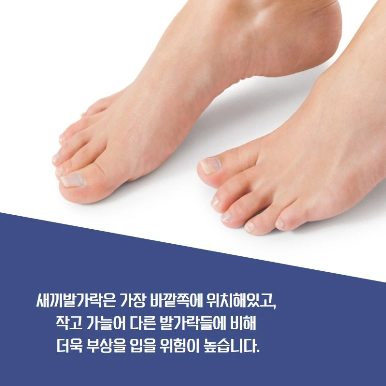 %EC%83%88%EB%81%BC%EB%B0%9C%EA%B0%80%EB%9D%BD%EA%B3%A8%EC%A0%88.jpg?type=w773