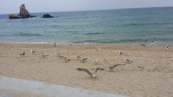 20170304_151148.jpg?type=w580