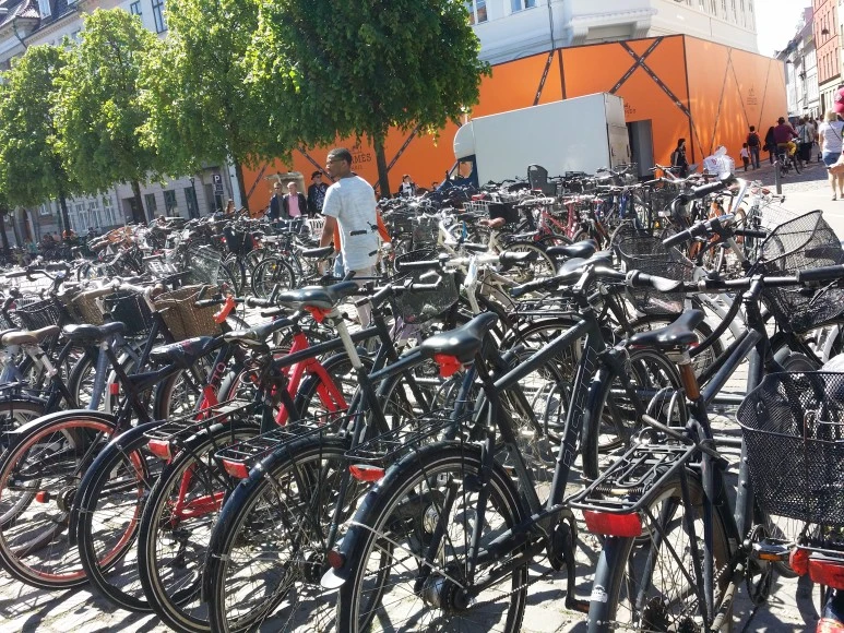 20170526_131113.jpg?type=w773