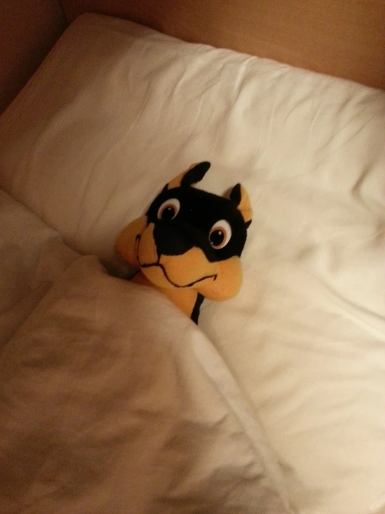 20160801_212619.jpg?type=w773