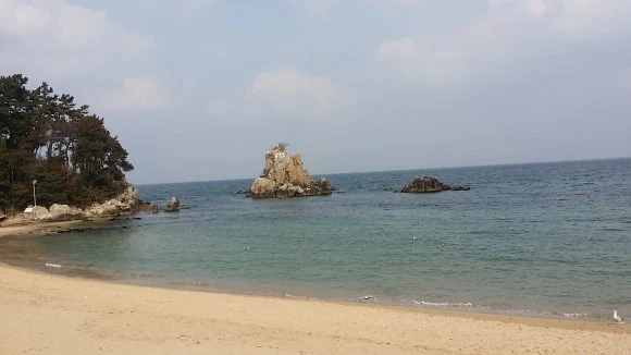 20170304_144247.jpg?type=w580