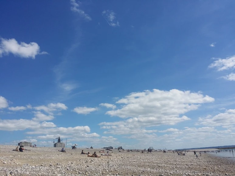 20170521_154208.jpg?type=w773