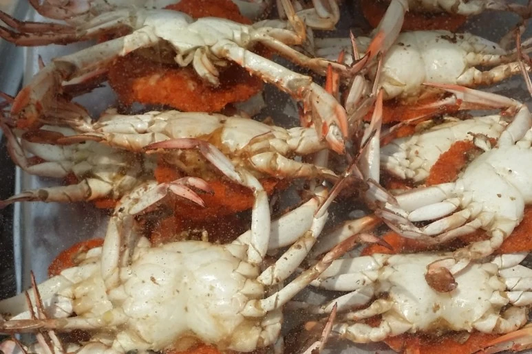 SE-7a8ce5cc-cc4d-4d18-b4ac-74e00357206f.jpg?type=w773