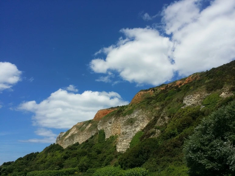 20170521_144518.jpg?type=w773