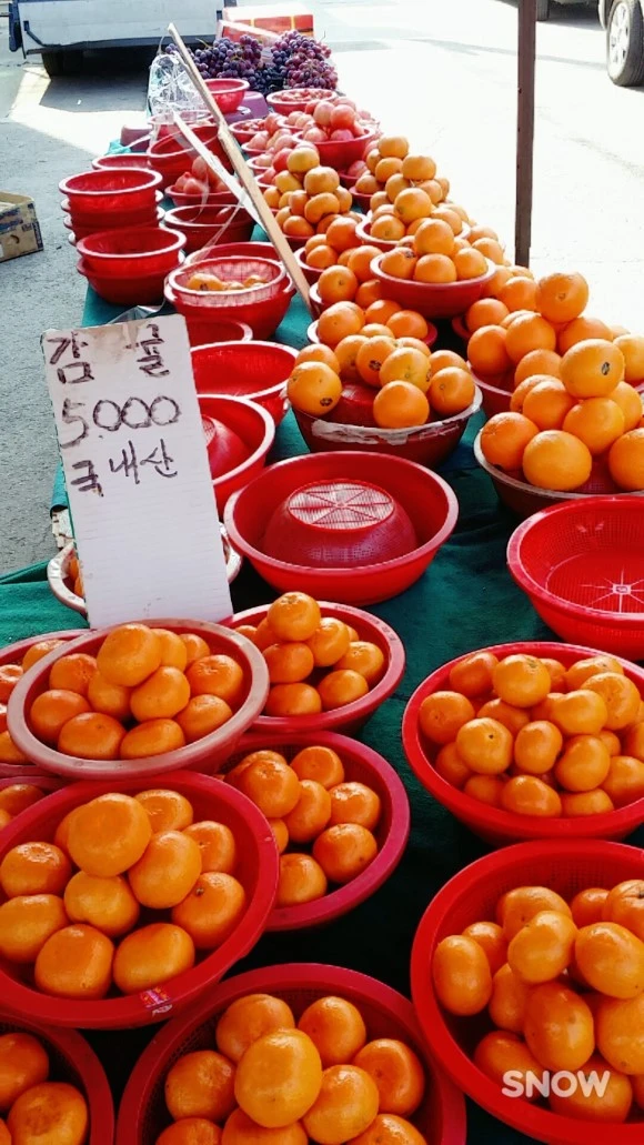 1488260829775s.jpg?type=w580