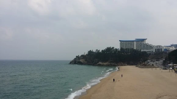 20170304_144824.jpg?type=w580