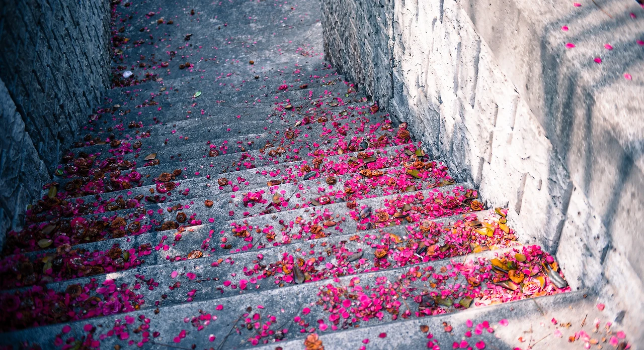 y6b2zlfi4ZO2s6EyxzvRi3UWhT7KPJB_uCC_KSnp1Doq-ZZOGnSink1qOociTsxrGlhQB3LnPL4E34z8XHylKG0t5Y0Zx-HCDjCDAInB5kGREgWxkBkhGWJ8biZAhxNGcgfE9YfFKEYgYLr3dsy9qUxgPH1g8hDGYJ67tK0IG0QoLAoC4yV6VmtFx61yS6wydRp-ozBasIhoimjrroWQvp1SCXgzlBxz6XEpt5dCM8oyWFkeCwi_KKCxQ0M3nZAqX7Wgfwvn8XGTcJfxIt3KkKMM9-4k56SNY_aOdDoQsld1EngZ-N8UzmmlscRsYrR2qDs7q5sNsbSE6c8SqD77gAdzfi3Y875OGqVhHRRA9ZzEUkAF5tNdiLkAm6tECKqCLb0JiO0o-GNQ0DXjBOnQl03HZelx2KScQg5X1N_usgU5SMFMCw6MlBL3vKOJzgjhm1I9-cHk62hl_oyq3O1V3HUGykWtSYPMMkoBIwOYzZqjFIaowhOShUYbMoDFNvuU9t0-IQhKBpGmIuajFBqeGXpq7PWRAN_0p_M5LkRL1j6lUbi-Bl8gNagJzih_dkqQldKijHqX6zKl4uOm91zv_AA72YdQnEwHjNKtgoaBckXPhhKsx386p5gIcQPsuTrXhDBRLaIKI9zvdlzj89xA26zTv9OYhNLaet8H0lhV9o5nvtaejOuRhWIZNbiRoBM=w3446-h1877-no?authuser=0