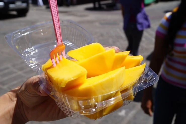 DSC05329.JPG?type=w2