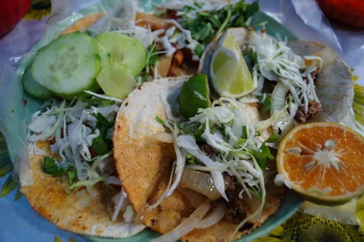 DSC05536.JPG?type=w2