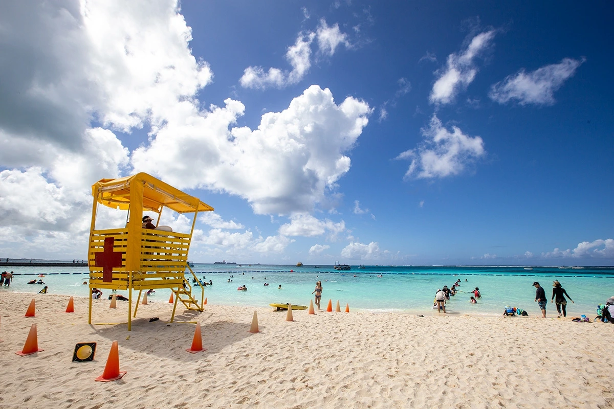 다운로드 (37).jpeg