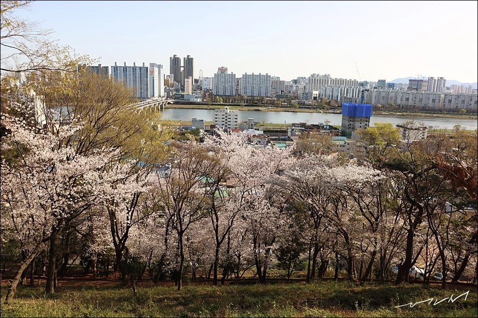 학성공원 (19).JPG