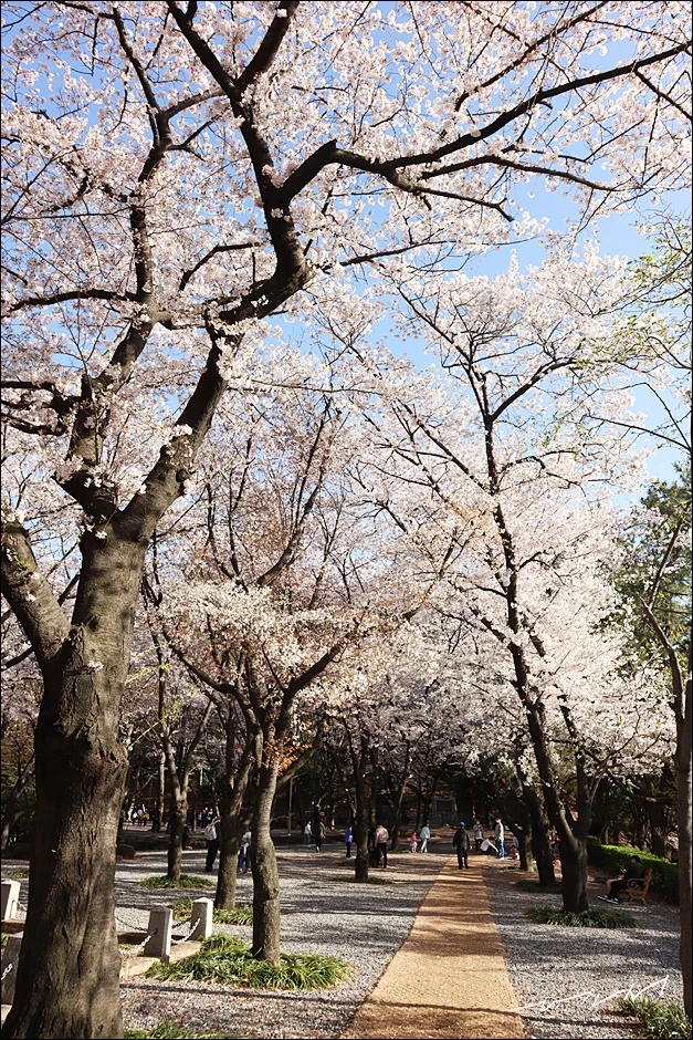 학성공원 (8).JPG