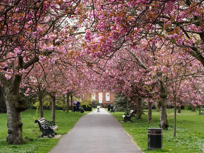 다운로드 (2).jpeg