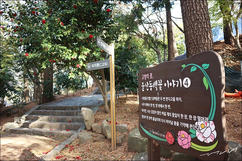 학성공원 (15).JPG