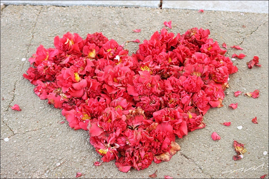 학성공원 (21).JPG