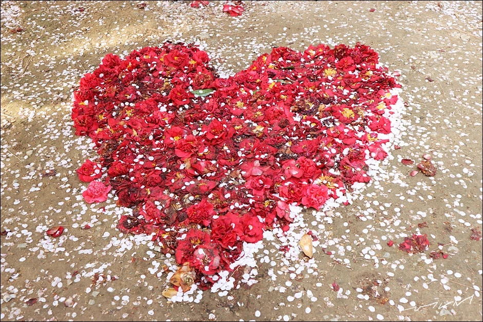 학성공원 (26).JPG