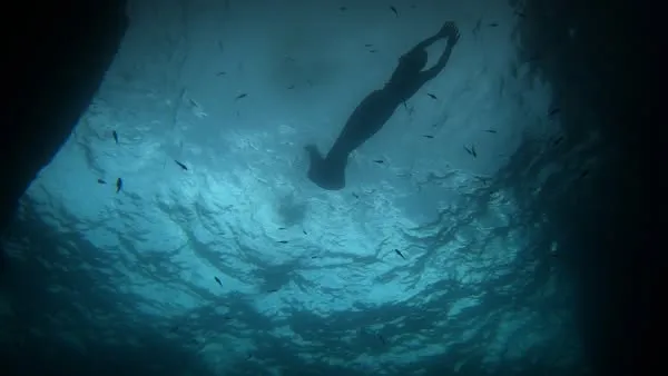 487377927_9924024514297100_5127024380080282656_n.jpg?stp=dst-jpg_s600x600_tt6&_nc_cat=111&ccb=1-7&_nc_sid=127cfc&_nc_ohc=BKHvdx469j0Q7kNvwHYhn_U&_nc_oc=AdnQ0NgxgZkPEN5q5iU6MST_9Unt4UYlGeHG6NGc96LFplFZG9dL-pmqMGXJ52iGYLY&_nc_zt=23&_nc_ht=scontent-ssn1-1.xx&_nc_gid=N-cDSw4j0JrpI7wLnOcutg&oh=00_AfGtWKkZOmP-iHPwHyjrGUinID3QPecKqKM6AnDTJ_H6tA&oe=680C86A2