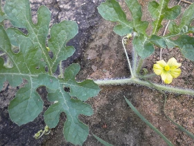 18 2010 Sept 008.jpg