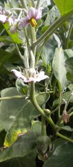 18 2010 Sept 014.jpg