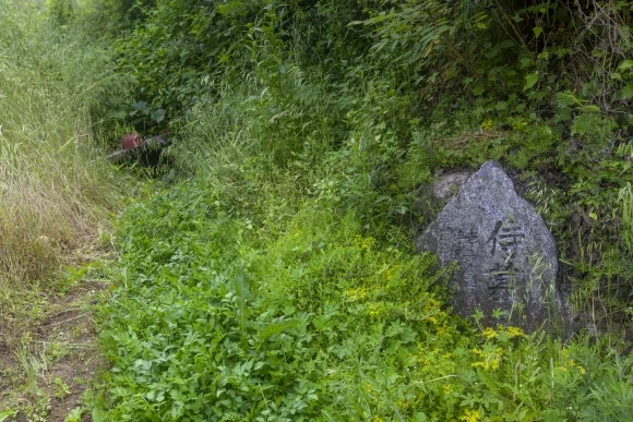 3-1.jpg?type=w580&jopt=2