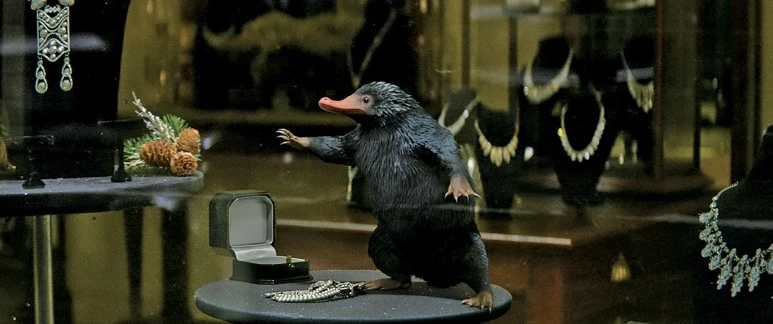 14_18_31__58216027bcf76H800-.JPG?type=w773