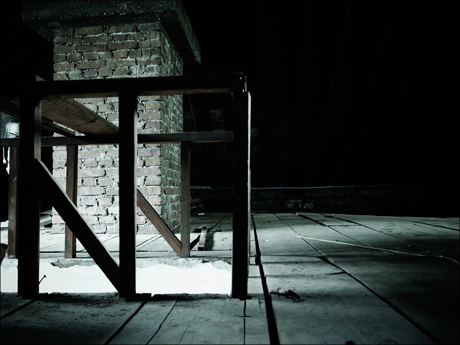 254FDD3A5542CFAB19B43F