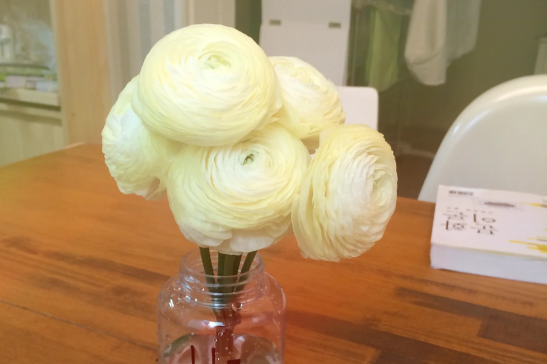 253C3933552F957513867C