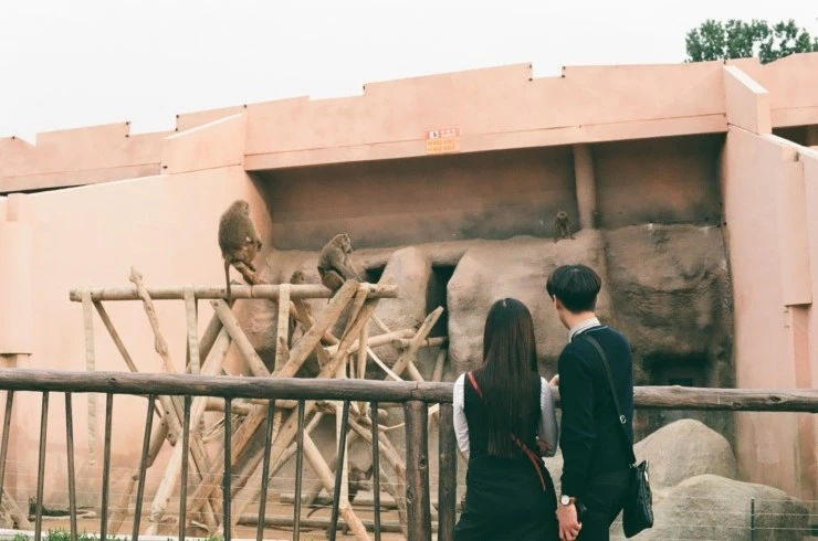 2735A93F552238E71E3F6B