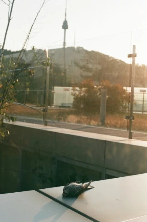 26287B43552238FF089009