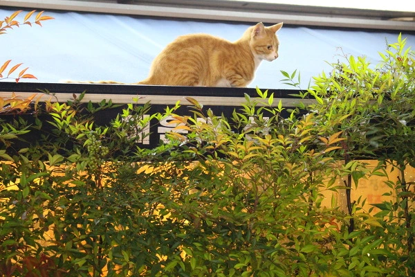 274ACB35561A2FAF3FB671