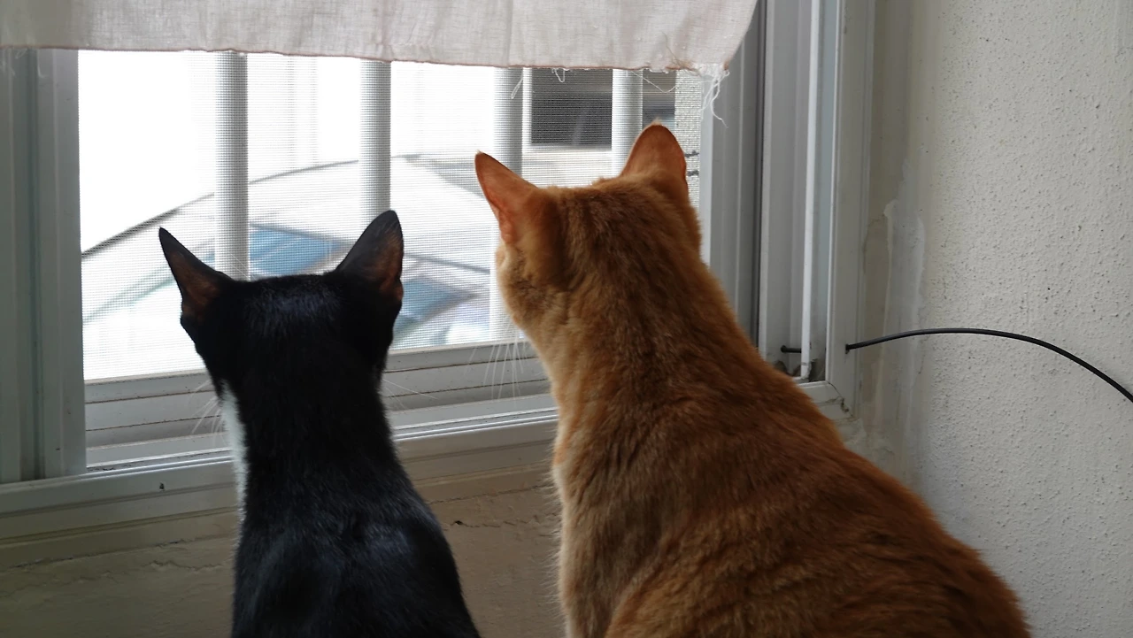 2019-06-07 16.10.51.JPG