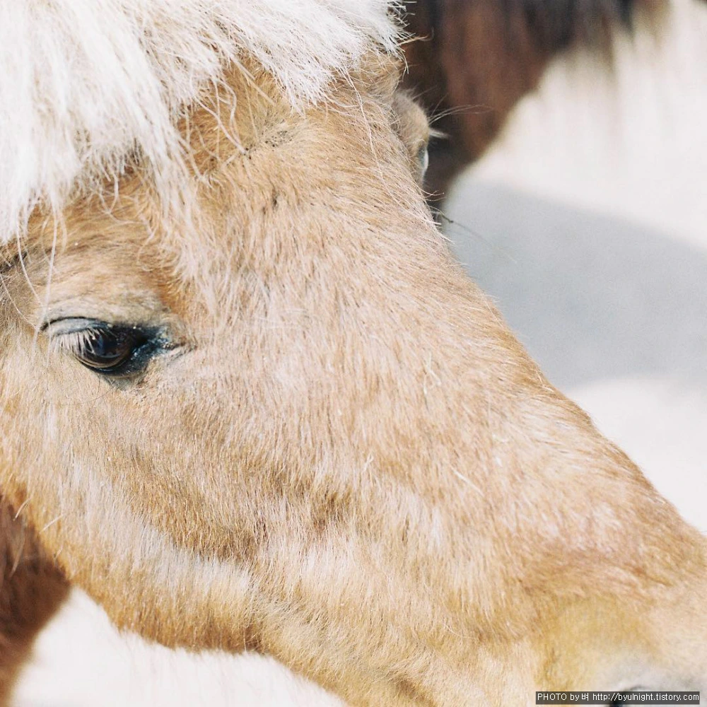 22761D3C57CF776D1E4DD0