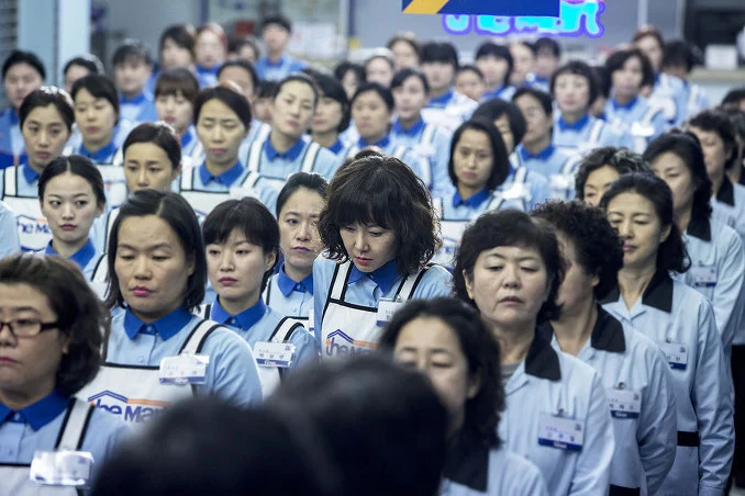 24529C38566B09480FDBBA