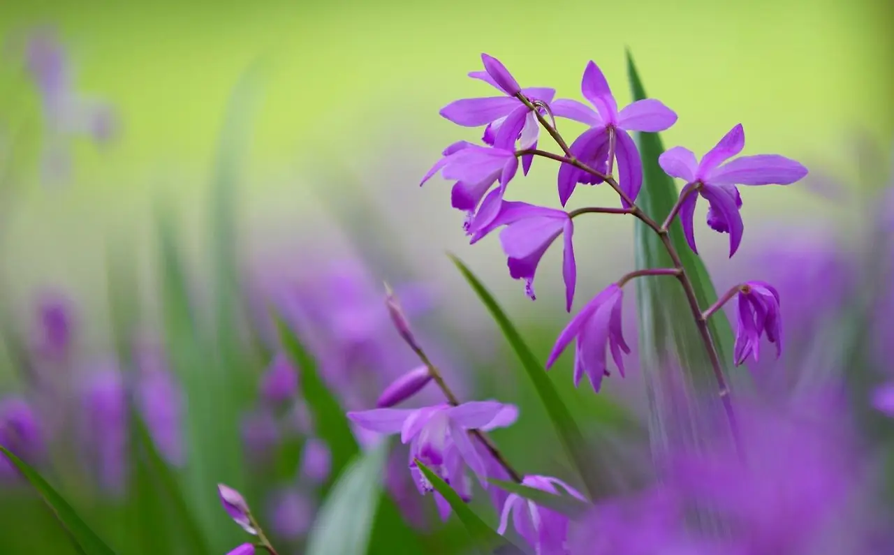 2015-03-31 12;36;09.JPG