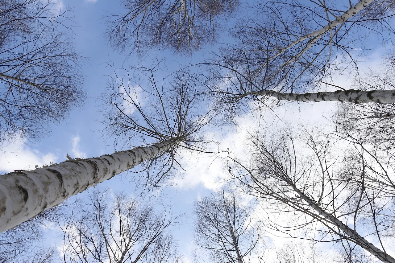 2017_0225_inje 073.JPG