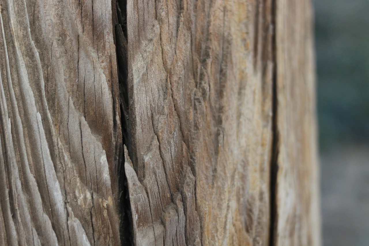 2014_1026_정읍 708.JPG