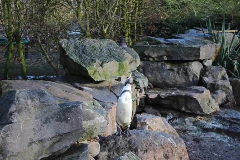 IMG_6055.JPG?type=w773