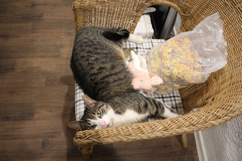 IMG_6073.JPG?type=w773