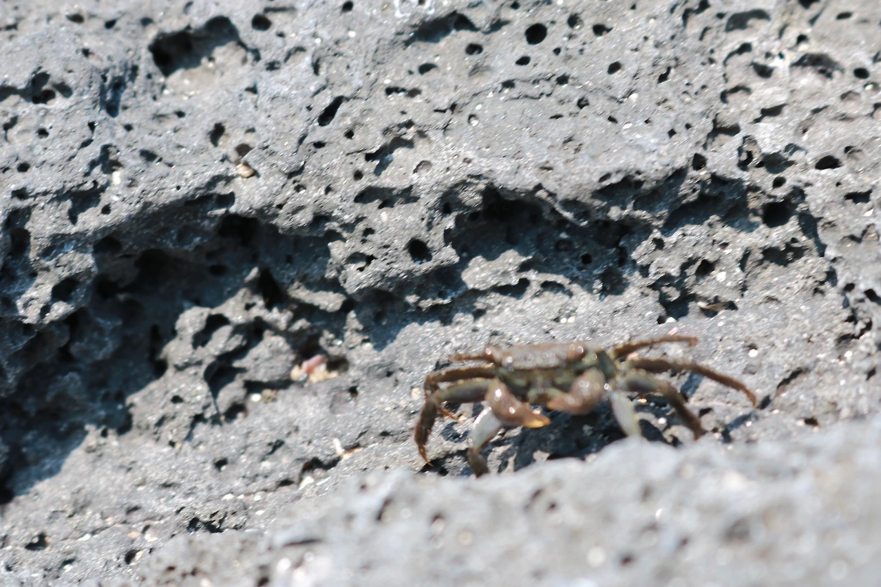 금능해수욕장 (71).JPG