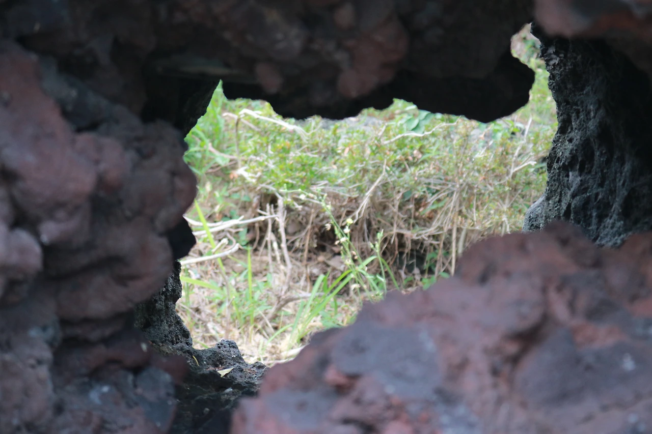 민속자연사박물관 (8).JPG