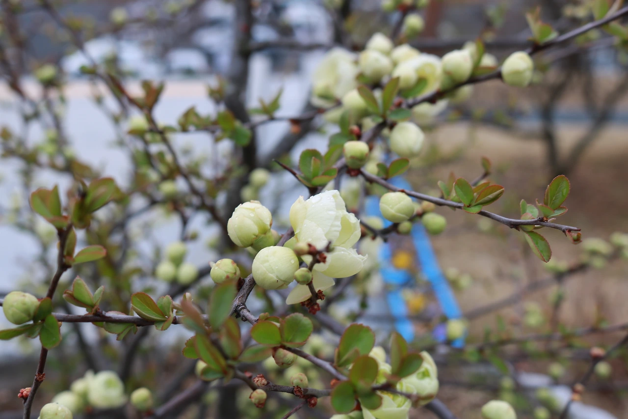 315백일장 (252).JPG