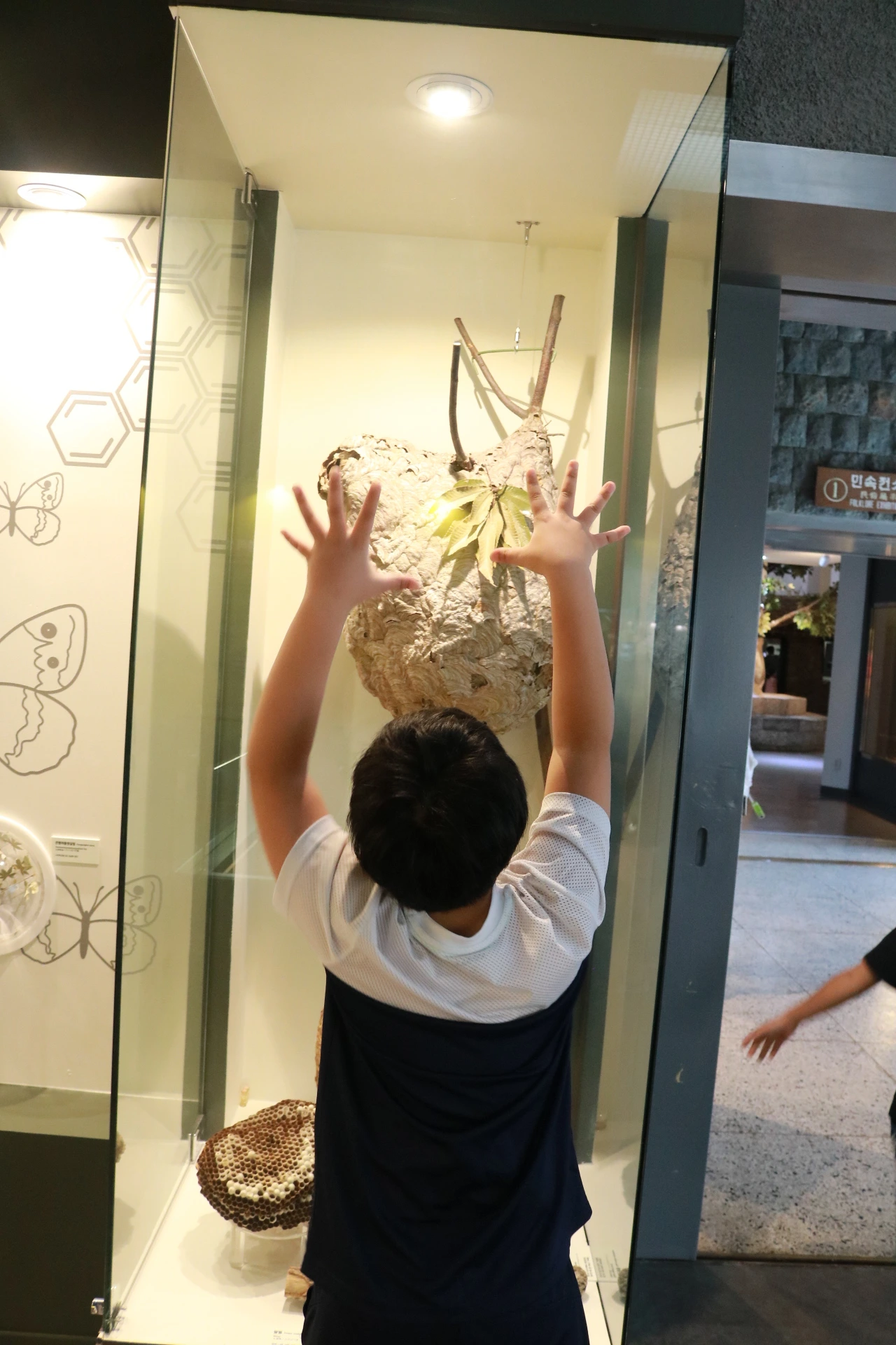 민속자연사박물관 (36).JPG