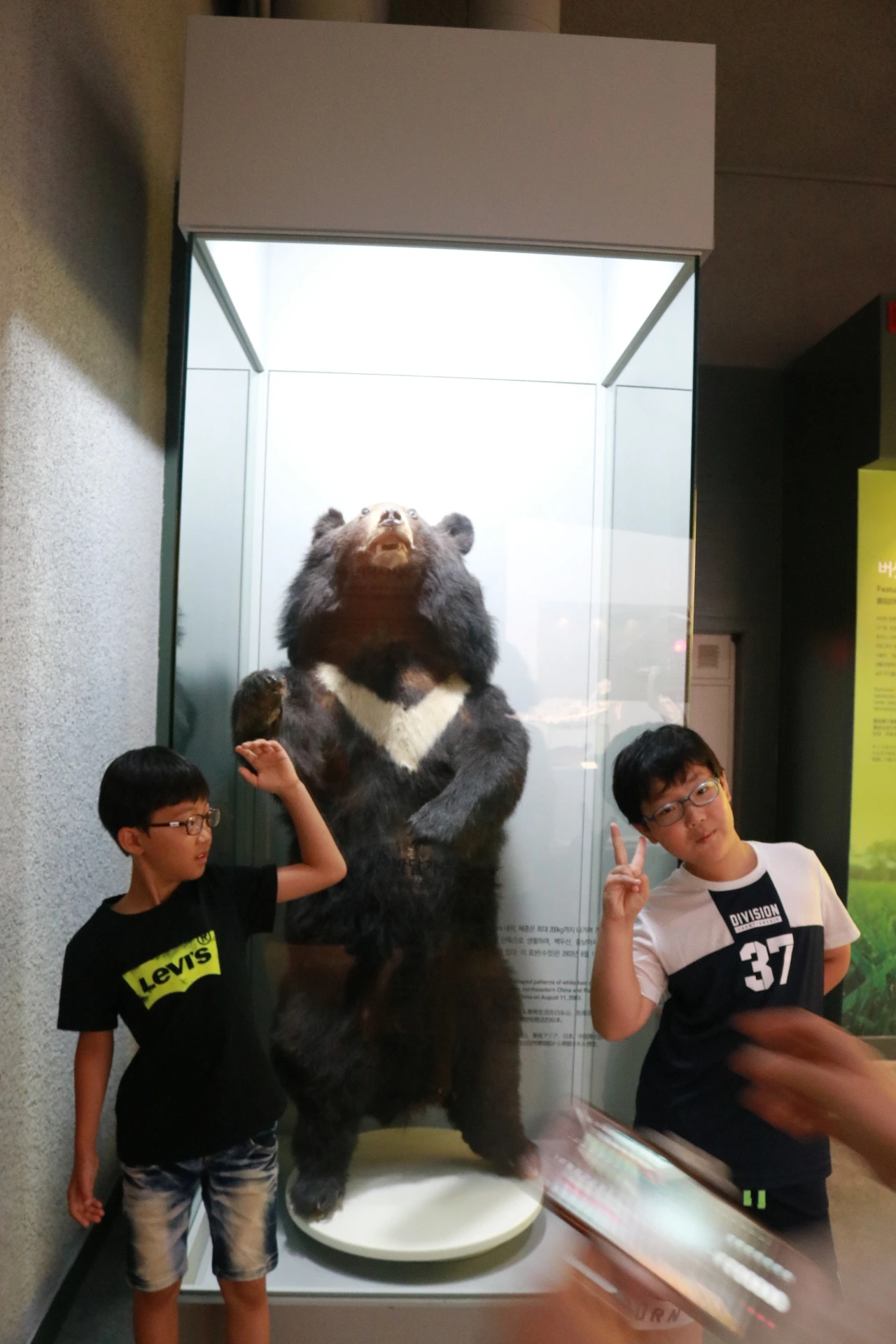 민속자연사박물관 (30).JPG