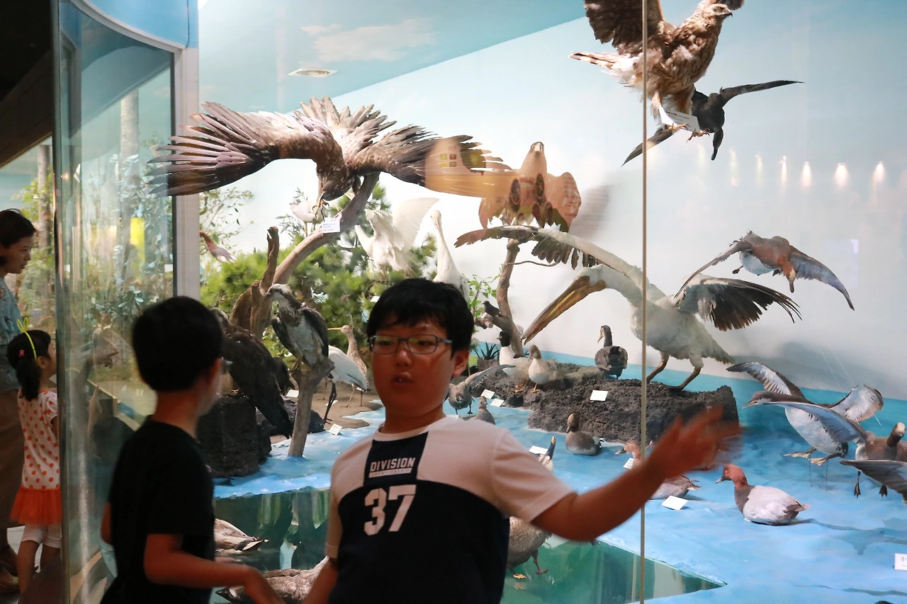 민속자연사박물관 (26).JPG