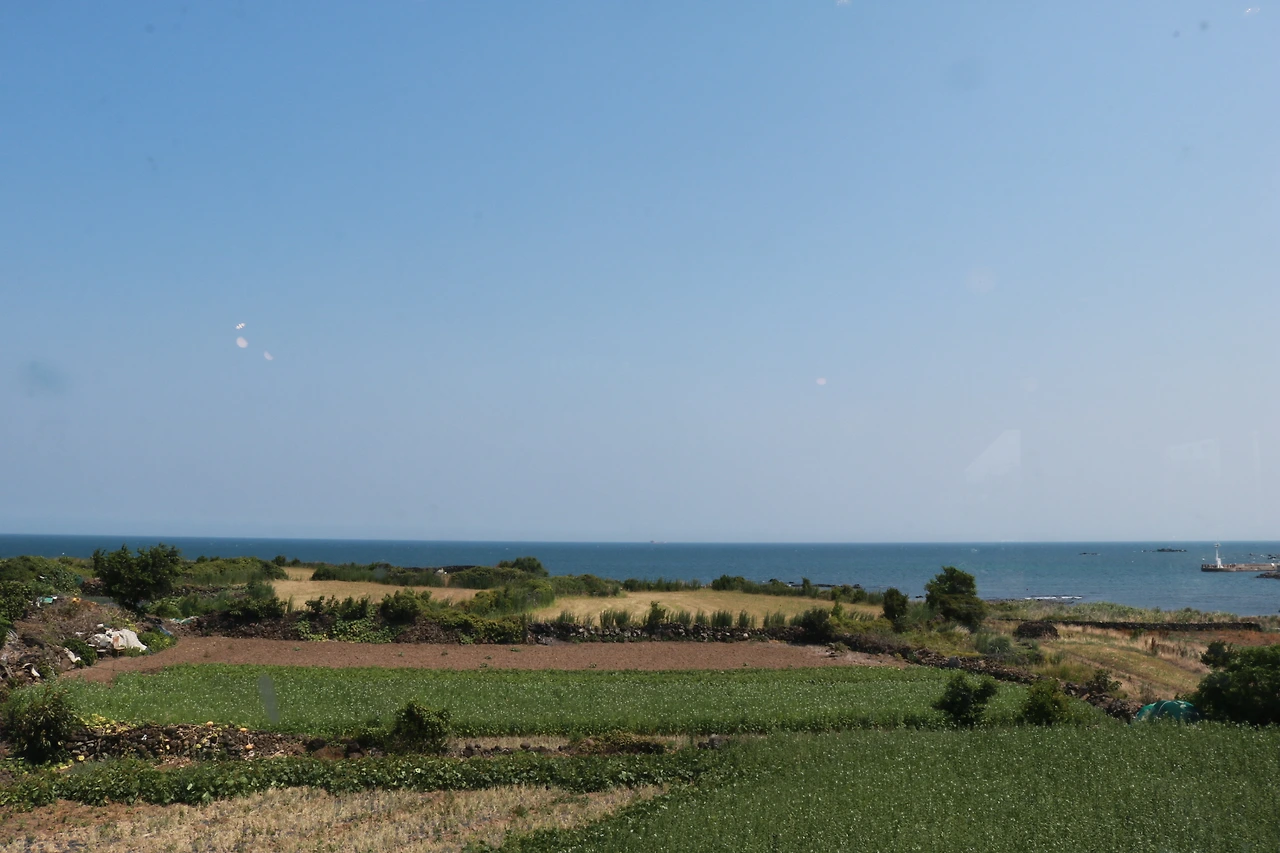 제주 작은 카페 (17).JPG